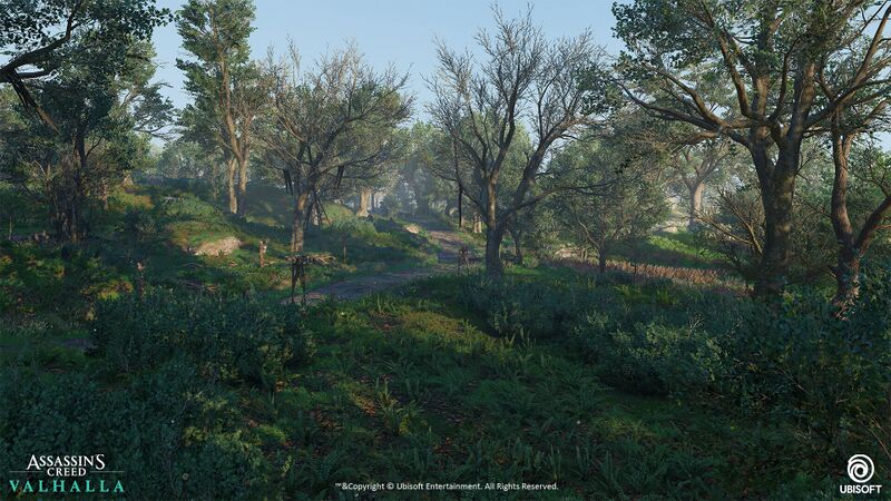 File:ACV Epinga Forest 1.jpg