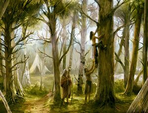 ACI Feathers and Trees.jpg