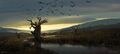 Thumbnail for version as of 00:32, 23 January 2026