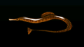 Thumbnail for version as of 00:08, 23 January 2026
