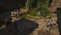 Thumbnail for version as of 14:24, 16 July 2026
