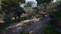 Thumbnail for version as of 00:15, 23 January 2026