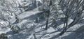 Thumbnail for version as of 00:17, 23 January 2026