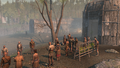 Thumbnail for version as of 00:16, 23 January 2026