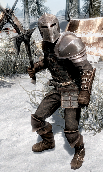 File:Dawnguard Vampire Hunter.png