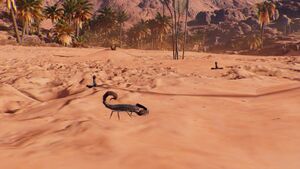 ACO-scorpions.jpg