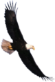 Thumbnail for version as of 00:10, 23 January 2026