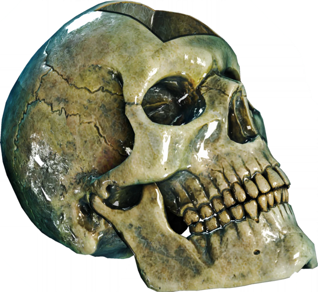 File:ACBFR DB Crystal Skull.png