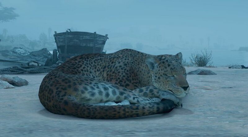 File:ACMir Leopard.jpg