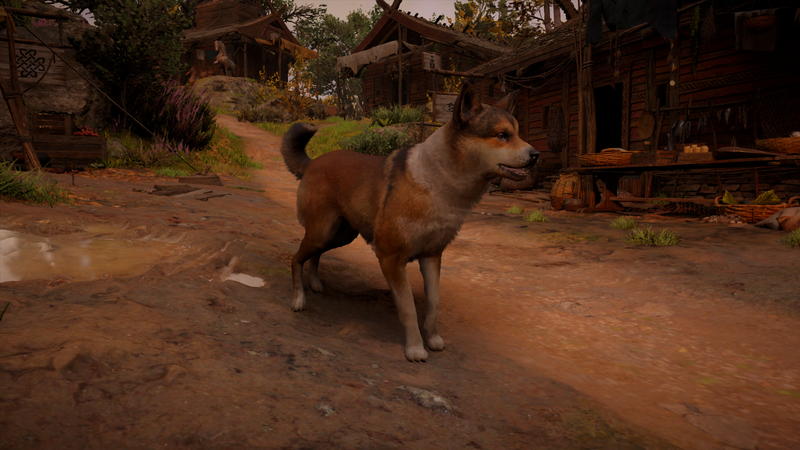 File:ACV Dog.png