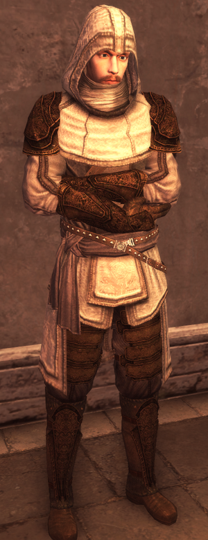 Male Assassin Armor Level 2.png