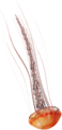 Thumbnail for version as of 09:04, 22 August 2026