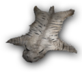 Thumbnail for version as of 00:23, 23 January 2026