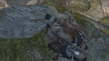 Thumbnail for version as of 00:06, 23 January 2026