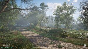 ACV Epinga Forest 6.jpg