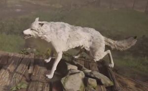ACV Hwit Wulf.jpg