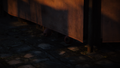Thumbnail for version as of 00:09, 23 January 2026