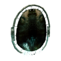 Thumbnail for version as of 00:05, 23 January 2026
