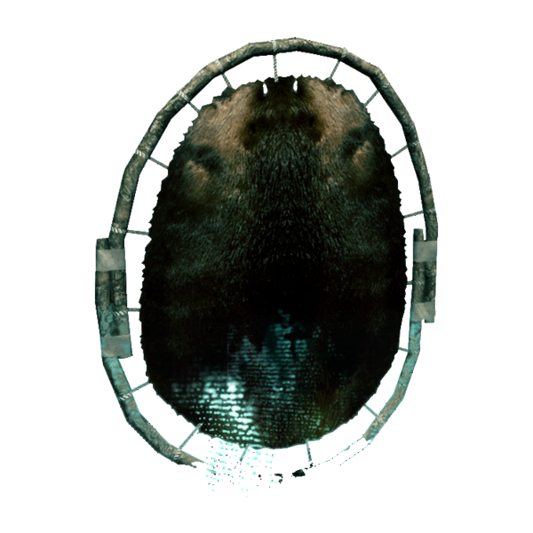 File:AC4DB - Beaver Pelt.png