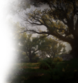 Thumbnail for version as of 00:16, 23 January 2026
