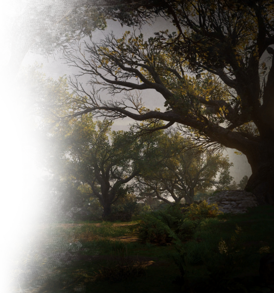 File:ACV DB Cyning Vale.png