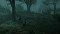 Thumbnail for version as of 00:24, 23 January 2026
