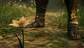 Thumbnail for version as of 00:24, 23 January 2026