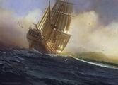 Jackdaw by Evan Shipard