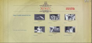 Search Engine - Newzy Cat.jpg