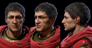 Head models of Stentor