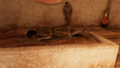 Thumbnail for version as of 00:14, 23 January 2026