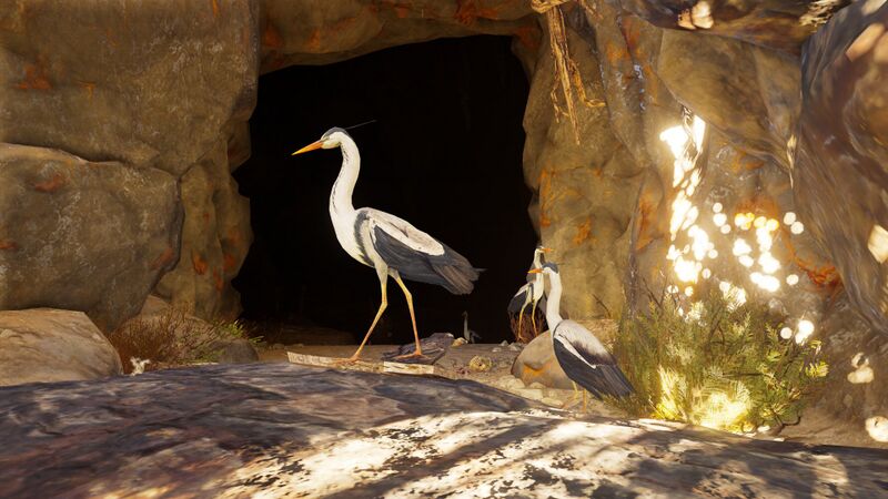 File:ACOd-herons.jpg