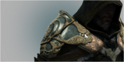 Master Assassin's Spaulders