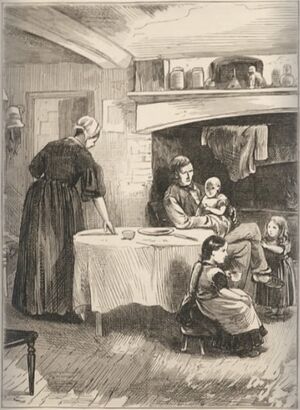 ACS DB Illustrations 40.jpg