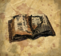 The partially burnt diary of Friar Jean.
