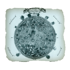 AC4BF Solaris from Mundus Subterraneus.png