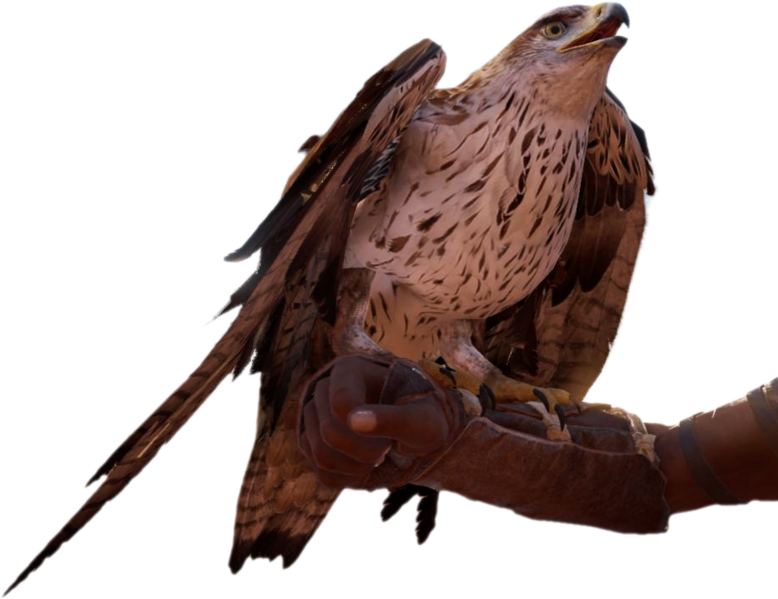 File:ACO Senu render.png