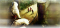 Thumbnail for version as of 00:05, 23 January 2026