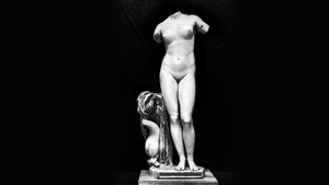 DTAE Venus Anadyomene.png
