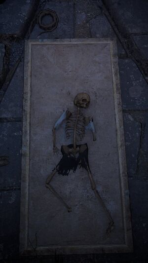 Magister Vitus body.jpeg