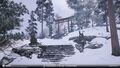 Thumbnail for version as of 00:20, 23 January 2026