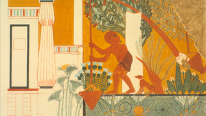 DTAE - Relief of irrigation.png