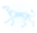 Thumbnail for version as of 00:12, 23 January 2026