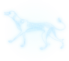 The first constellation