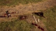 The dead slave and butchered horse