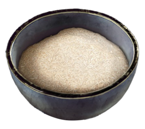 ACSH DB Simple Rice.png