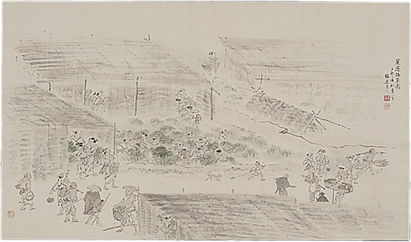 File:ACSH DB Tea Production in Uji Tawara.png