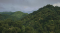 Thumbnail for version as of 19:39, 10 June 2026