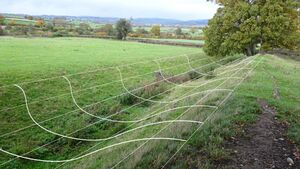 DTVA - Offa's Dyke.jpg
