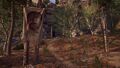Thumbnail for version as of 00:16, 23 January 2026
